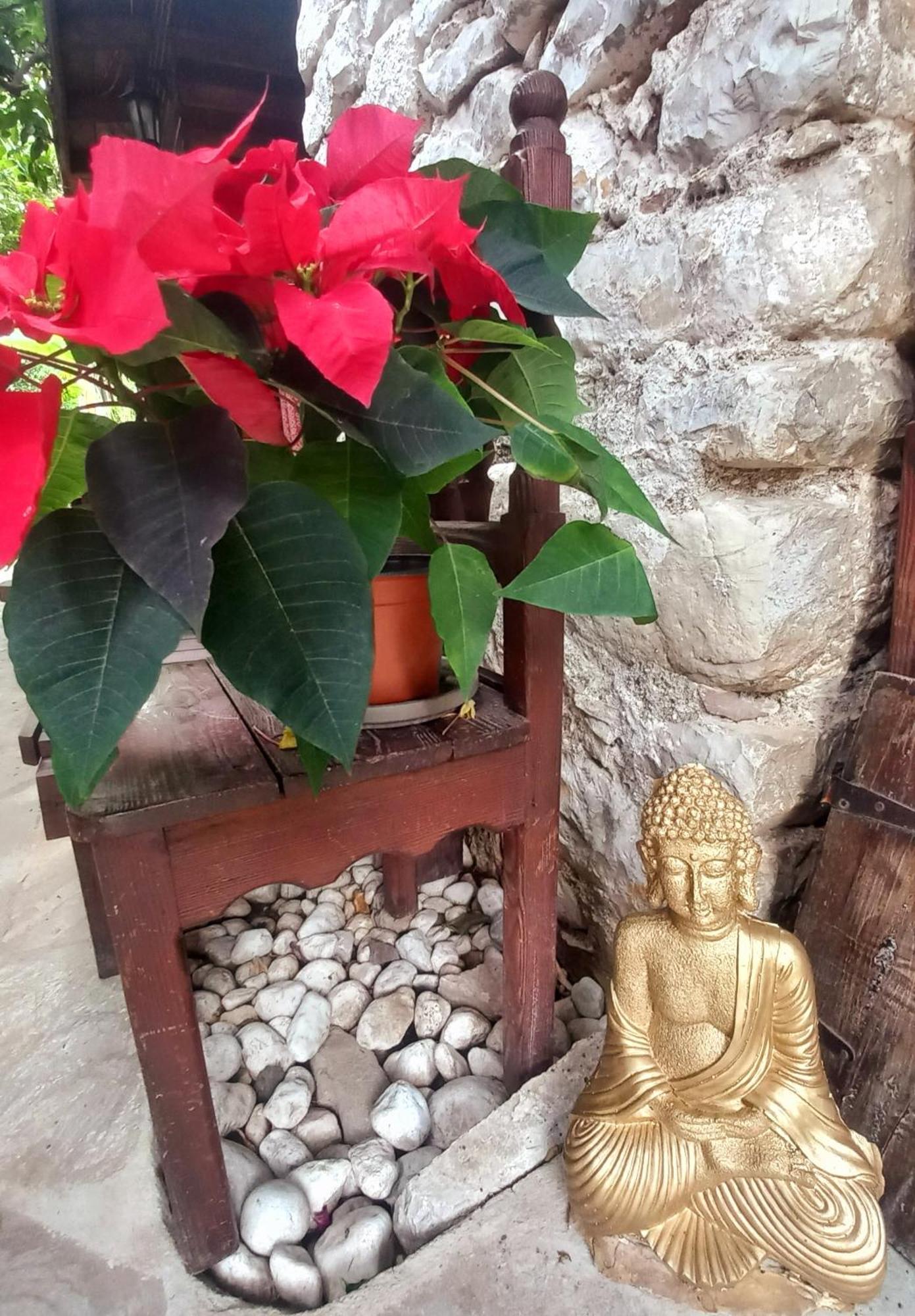 شقة Demeter Rose Stonehouse Pansion أنطاليا المظهر الخارجي الصورة