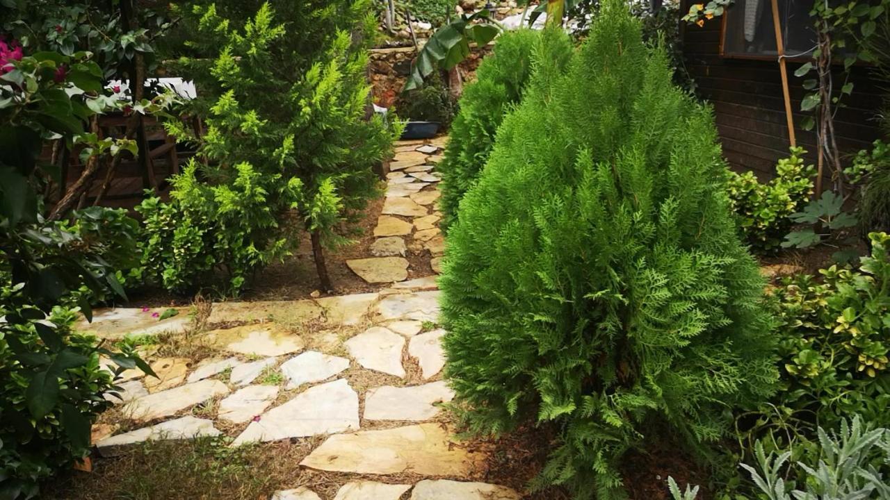 شقة Demeter Rose Stonehouse Pansion أنطاليا المظهر الخارجي الصورة